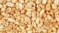 Mong Phali Dana Fried (Peanuts) 500 gm. 