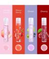 Dragon Ranee 4 Pcs Fruit Lip Oil Set Lip Gloss Crystal Jelly Liquid Lipstick Set. 