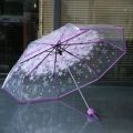 korean Transparent Umbrella Gear - Orchid Grey - "Suit Only: 44". 