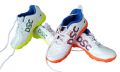 DSC CRICKET SHOE. 