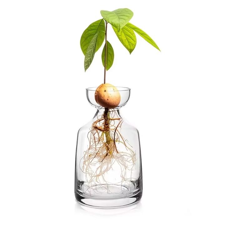 Two-piece%20Avocado%20Seed%20Starter%20Vase%20-%20Grow%20Your%20Own%20Avocado%20Tree%20Unique%20Glass%20Planting%20Pot%20for%20Gardening%20Lovers%20Start%20Your%20Green%20-%20Image%207