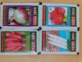 Root Vegetables Seed Mula Red, Mula, Purple Top and Red Salgam. 