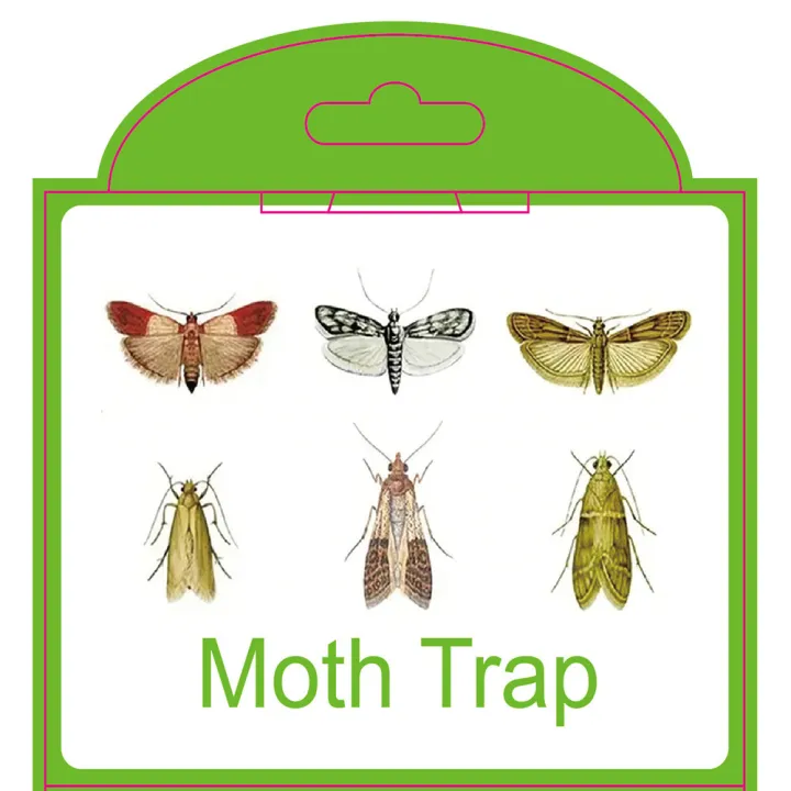SilentKing%206PCS%20Moths%20Traps%20Pantry%20Clothes%20Kitchen%20Food%20Home%20Garden%20Pest%20Control%20Moth%20Traps%20Pheromone%20Moths%20Sticker%20Moths%20Trap%20-%20Image%205