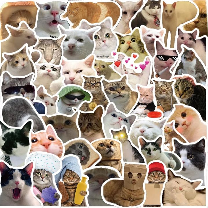 50Pcs Funny Cats Meme Graffiti Stickers DIY Scrapbook Notebook Laptop ...