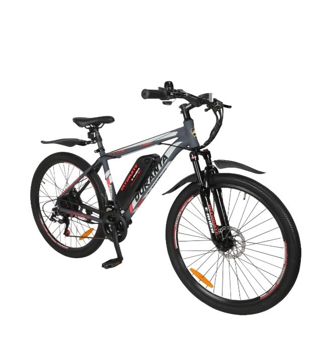 Duranta%20Electric%20Bike%20With%20Hub%20Motor%20&%20Digital%20Display%20E-Rider-101%20-%20Image%203