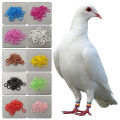 100Pcs Pigeon Bird Foot  Ring Elastic Mixed Colors 8Mm Pigeon Identification Foot Rings for Quails Pigeons Bird Appliances. 