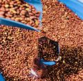 Salted Roasted peanuts -1 kg. 
