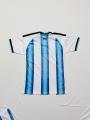 A3H Premium Polyester Round Neck Jersey for Men-Comfortable ARGENTINA World Cup Fan Version Jersey 2025-26.