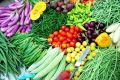 Kitchen Gardening Summer Vegetables Seeds. 