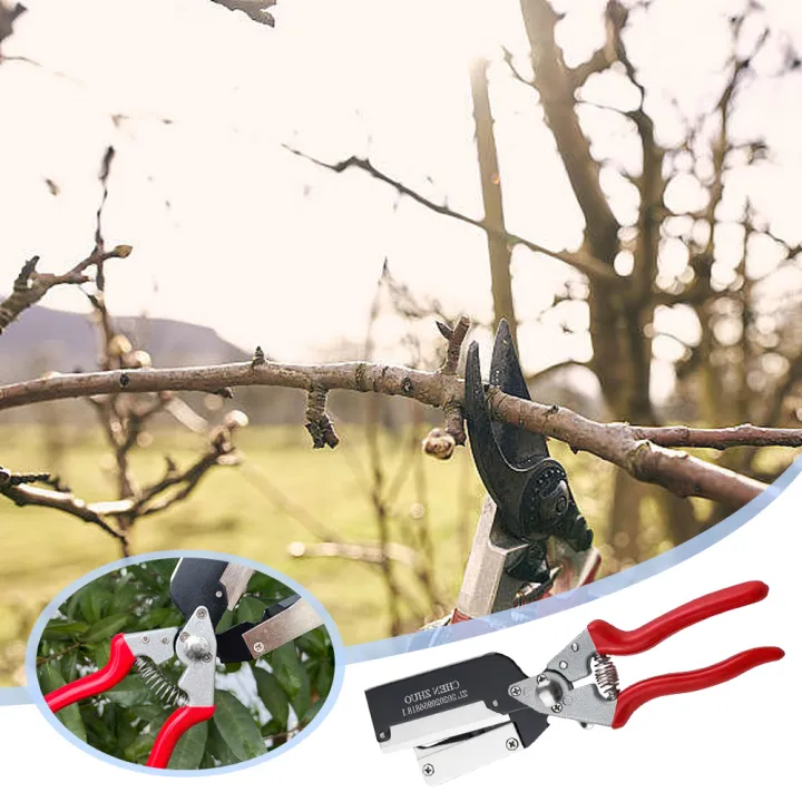 Thick%20Branch%20Grafting%20Machine%20Grafting%20Scissors%20Divine%20Tool%20Multifunctional%20Fruit%20Tree%20Seedling%20Aluminum%20Alloy%20Bud%20Grafting%20Tool%20-%20Image%204
