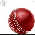 Sports Soft Rubber Cricket traning Practice Ball. 