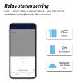 Tuya WiFi Smart Socket Brazil Plug Type N, Remote & Voice Control, Timer/Countdown, Overload Protection, Smart Life. 