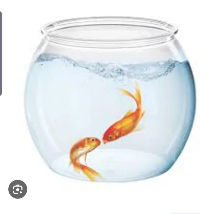 plastic%20Fish%20bowl%20-%20Image%202
