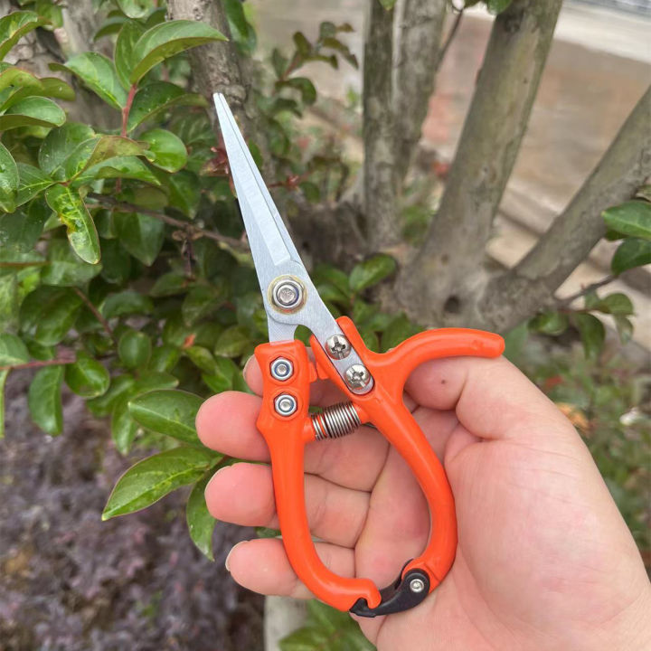 Gardening%20Secateurs%20Cutting%20Pruner%20Garden%20Hand%20Pruners%20Fruit%20Tree%20Pruning%20Shears%20Grape%20Fruit%20Picking%20Weeds%20Pruner%20Gardening%20Tool%20-%20Image%203
