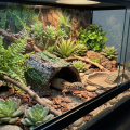 Simulation Reptile Hideout Hollow Escape Cave Lizard Hideaway Shelter PVC Bark Texture Turtle Tank Ornaments Pet Breeding. 