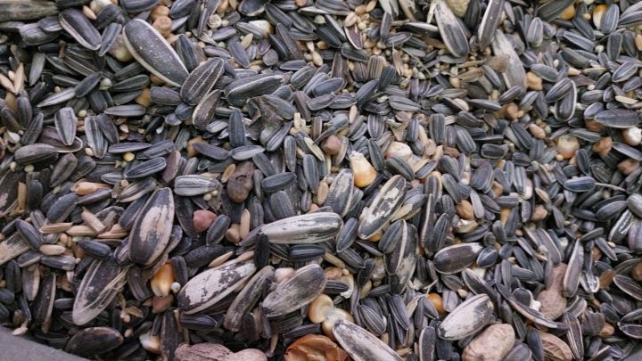 Big Parrots Feed ( raw parrot food) 1kg
