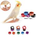 Cockatiel Bird Ring 6mm - 5pcs | Cockatiel Bird Foot Leg Ring | Closed Ring - 5pcs | Cocktail Bird. 