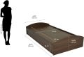 Bed Diwan with Box Storage (Classic Walnut) | 1 Year Manufacturer's Warranty. 