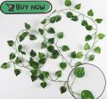 Artificial Money Plant green bail, with pretty blooms and amazingly life-like foliage bursting out of the basket or wall, this artificial English Ivy Vine Hanging Plant is not to be missed, lets you feel yourself in nature and save your room space

Artifi. 