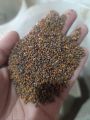 Argula seeds (taramira) 1 kg. 
