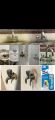 Tap Magic Water Tap Cleaner and Stainless Steel Cleaner 200ml. 