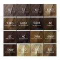Eazicolor Permanent Hair Color Chroma Technology With Omega-9 Tube-60 Ml With Developer Shade Silver Intensifier. 