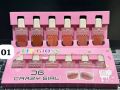 Crazy Girl Icecream lipgloss pack of 6. 