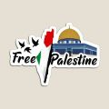 50 pc Palestinian stickers cut hq shiny glossy digital stickers Palestine flag peace support Palestine peace. 