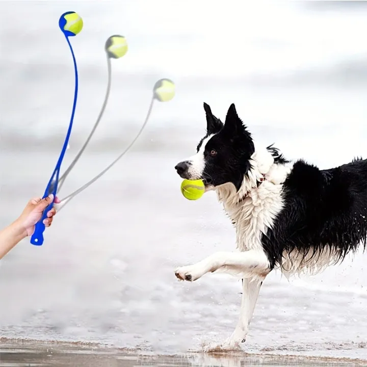 Pet%20Tennis%20Ball%20Launcher%20Stick%20-%20Interactive%20Outdoor%20Dog%20Training%20Toy,%20Durable%20Ball%20Thrower%20for%20Canine%20Exercise%20and%20Play%20Trainin%20-%20Image%206