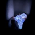Divine Dragon Statue, 3D Printed Night Light Dragon Sculpture, Aquarium Decoration, Theme Adult Bedroom Desktop Ornament. 