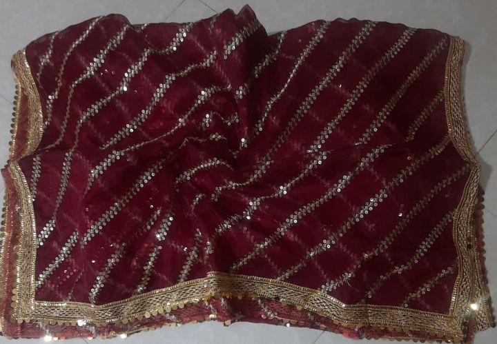 Fancy nylon organza dupatta with 5mm satara