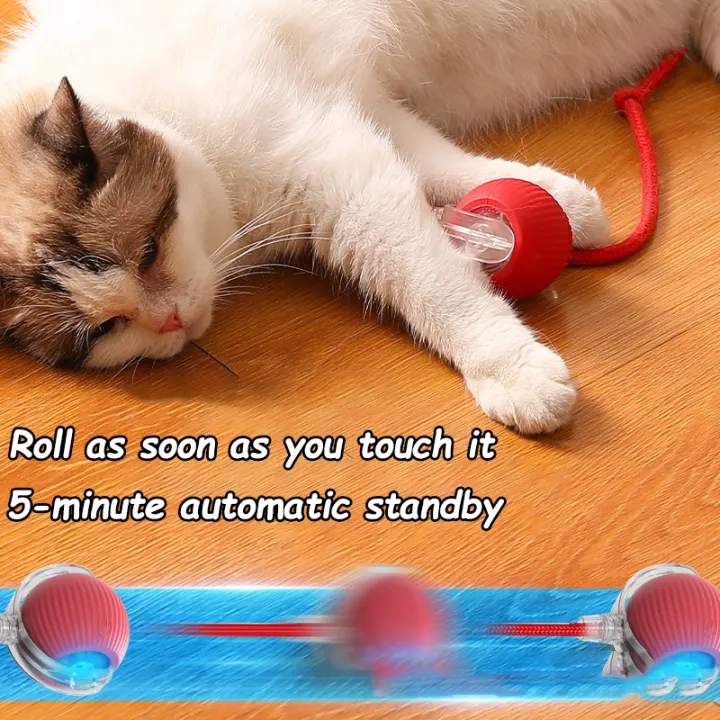 New%20Cat%20Interactive%20Ball%20Toy%20Automatic%20Rolling%20Ball%20Faux%20Tail%20Rechargeable%20Smart%20Pet%20Electric%20Toy%20Dog%20Cat%20Training%20Imitate%20Mouse%20-%20Image%204
