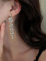 2 Pieces Of Women's Wheat Ear Long Tassel Full Diamond Earrings With A Retro Style, Popular On The Internet-4340. 