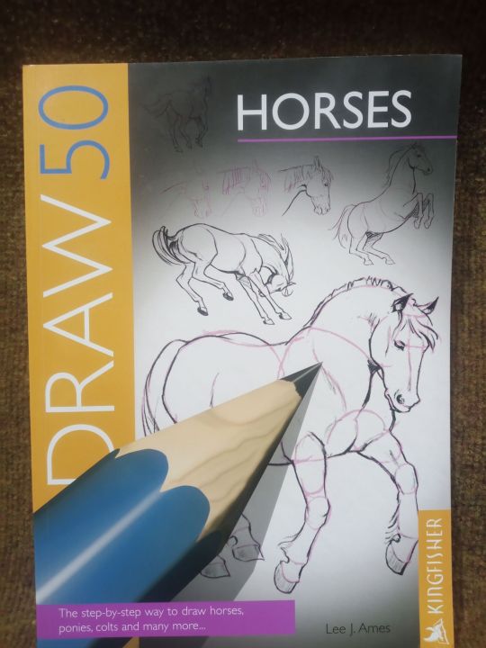Draw 50 Horses (Draw 50)