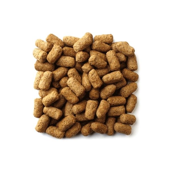 Mazuri%C2%AE5m21%20(old%20formula-large%20tablets)%20size%20566g.%0AToise%20diet%20is%20a%20high-fiber%F0%9F%90%A2%F0%9F%A6%8EEdible%20turtle,%20iguana,%20eat%20well%20-%20Image%204