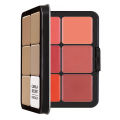 12-color iron box concealer blush cream matte highlight contour makeup all-in-one palette. 