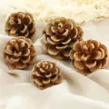 Christmas decoration pine cones dry pine cones. 