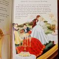 My Treasury Of Princess Stories (used as new). 
