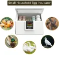 USB Egg Incubator with Thermostatic Incubator Manual Turnover Poultry Incubator Bionic Waterbed and Incubator All-in-One Machine. 