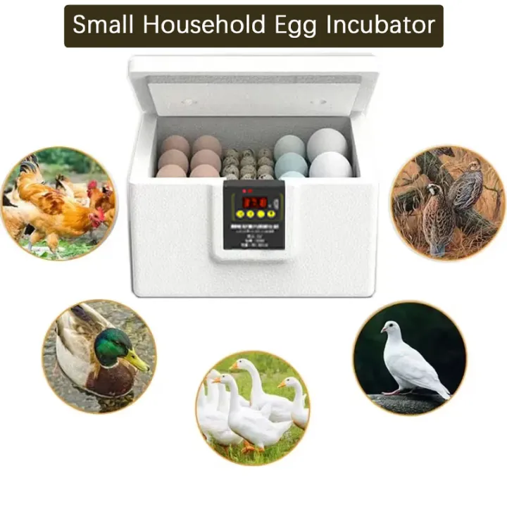 USB Egg Incubator with Thermostatic Incubator Manual Turnover Poultry Incubator Bionic Waterbed and Incubator All-in-One Machine