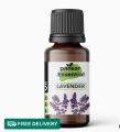 Lavender Aromatherapy Essential Oil (10 ml)  – Pakistan Essential Lavender Oil 100% Pure & Natural – Undiluted Lavender Aromatherapy Essential Oil (10 ml) – Rose And Lily Collection  Lavender Oil 100% Pure & Natural – Undiluted. 