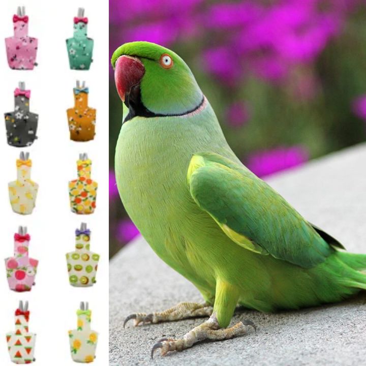 ringneck%20parrot%20bird%20diaper%20dress%20washable%20fabrics%20adjustable%20diaper%20dress%20pet%20products%20pet%20accessories.%20-%20Image%202