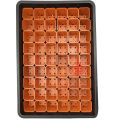 * Quick delivery * Daiso tray, Daiso tray with 2-inch pots, 54 square leaves, Daiso tray with hole, Daiso tray, no hole, seedling tray, seedling tray. 
