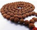 Natural Rudraksha Mala- Pure Nepali Original Lab Tested And Certified - 5 Mukhi Rudraksha 108 Mala. 