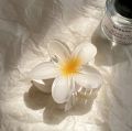 Flower Hair Clips For Girls Stylish Korean | Fancy Hair Claw Clips For Girls Korean |Korean Flower Gradient Egg Large Candy Colour Hair Claw Clips Catchers For Girls. 
