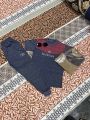 Track suite for boys/half sleeve/single Jerci summer stuff/pure cotton/printed multicoloured S/M/L all size available. 