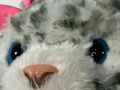 FurReal Friends Hasbro Daisy Plays Kitty Cat talks plays stands moves excellent condition. 