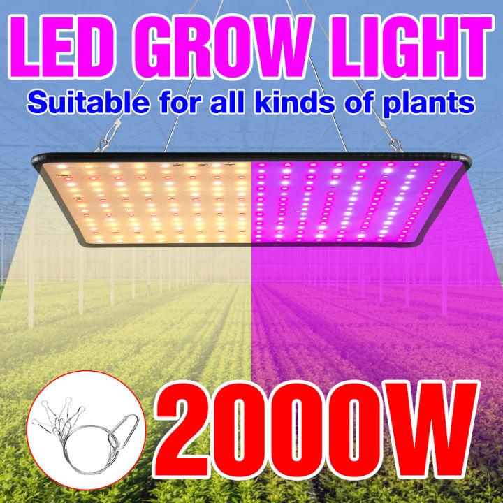LED Plant Grow Light Full Spectrum Quantum Board Phytolamp Indoor ...