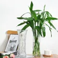 Good vase medium size creative jewelry living room flower arrangement transparent glass Nordic Internet celebrity light luxury flower raised water Rose. 