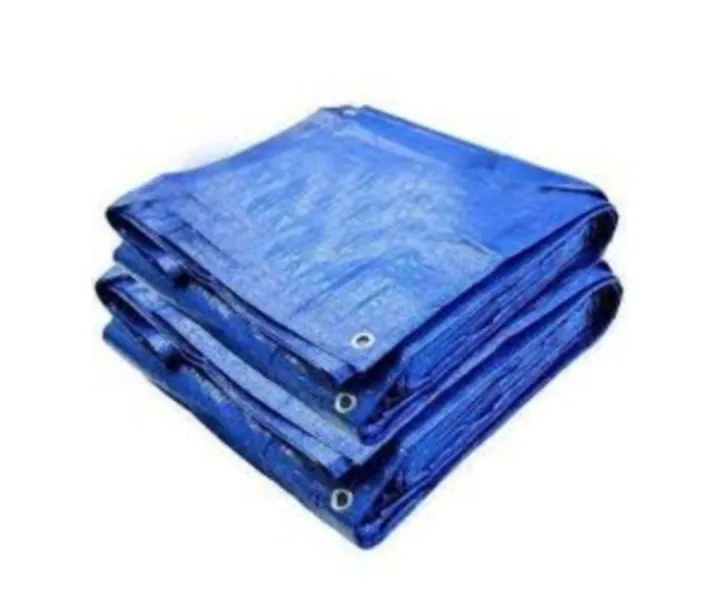 Tent%2010x12%20feet,%20Tarpaulin,%20water%20proof%20covering%20Material%20-%20Image%203